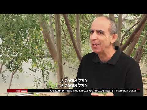 מורינגה - מורינגה ישראל בחדשות- עץ הפלא לריפוי 300 מחלות האומנם? לכל התשובות צפו