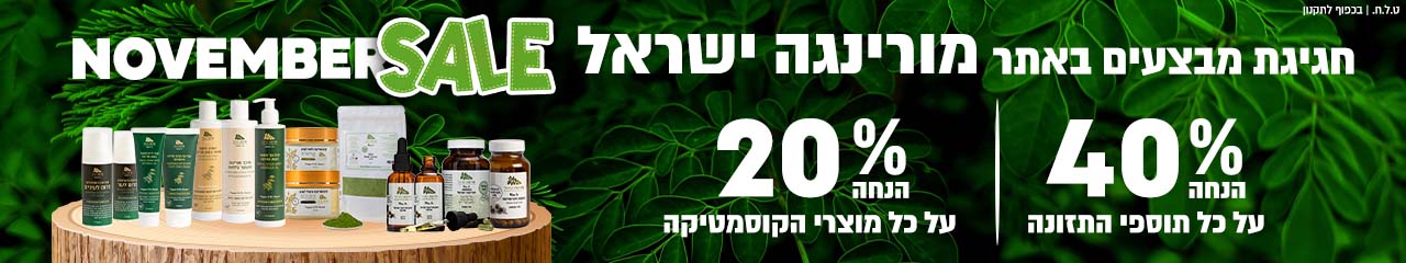 נובמבר סייל 2025