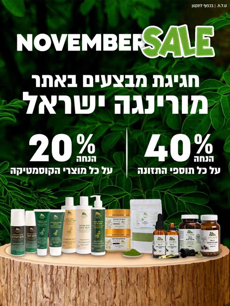 נובמבר סייל 2025