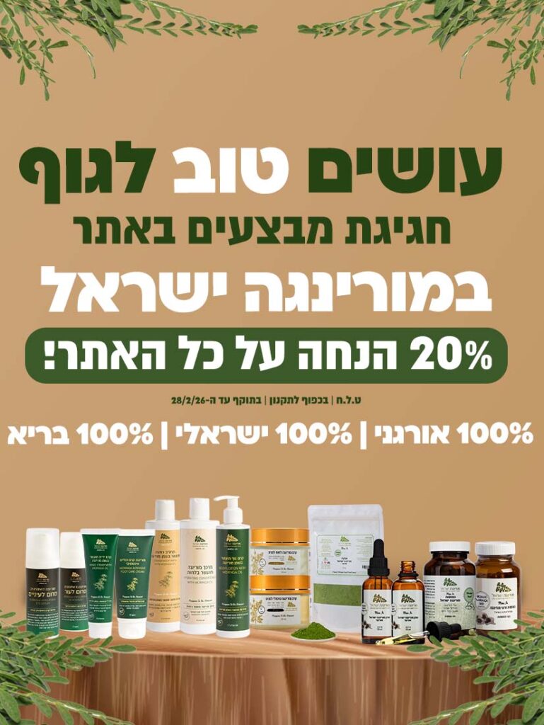 מבצעי פברואר 2026