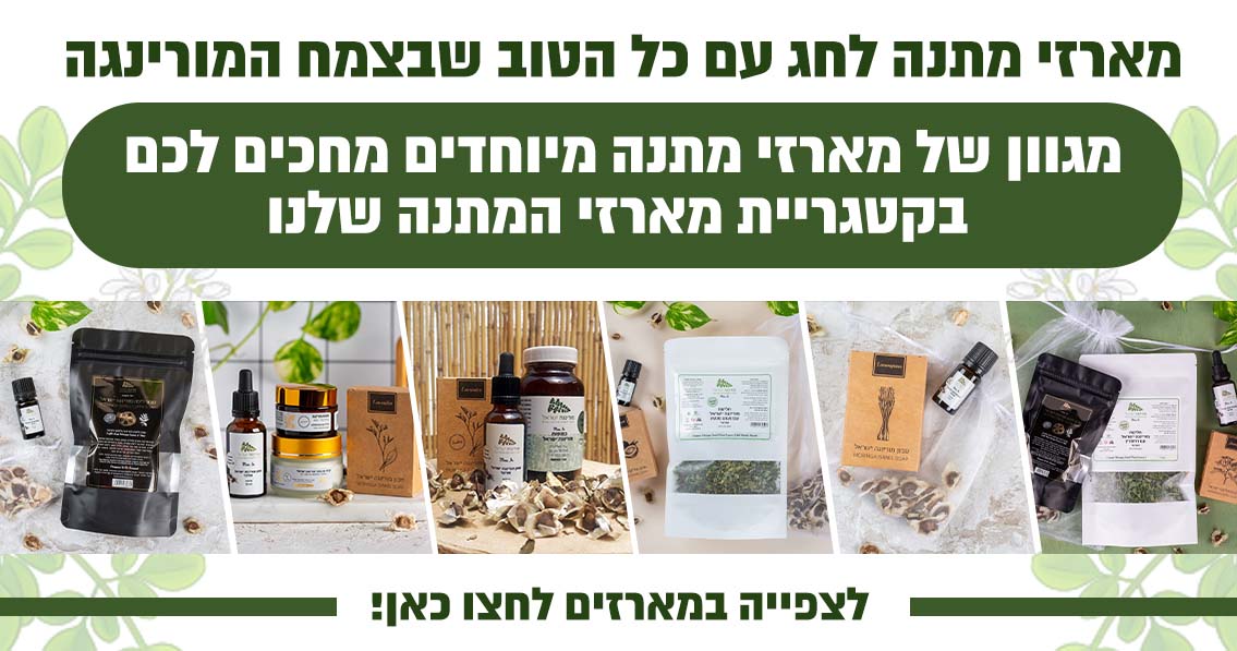 מארזי מתנה לחג